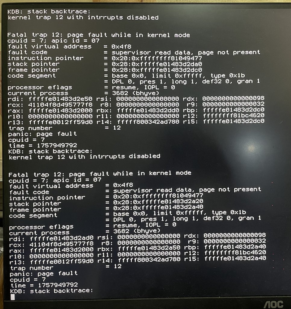 ../../../../_images/bhyve_kernel_panic.jpg