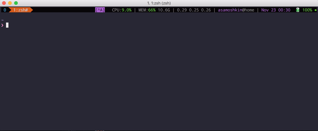 ../../_images/tmux.gif